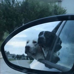 Meet your Posher, Sherri